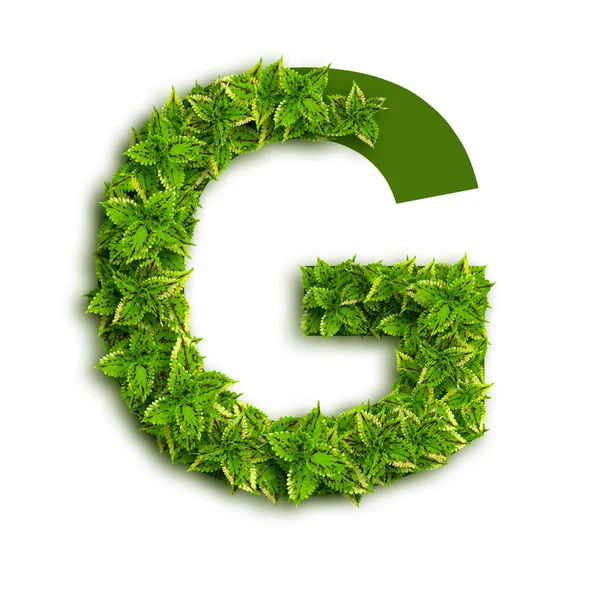 Letra G con hojas — Foto de Stock