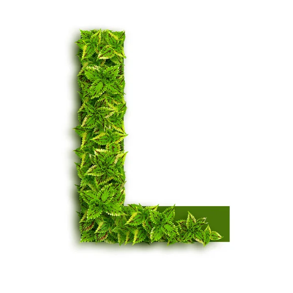 Letra L con hojas — Foto de Stock