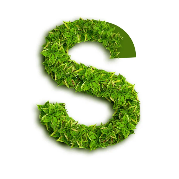 Letter S With Leaves — Stock Photo, Image