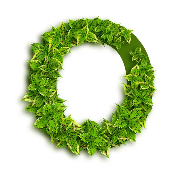 Letter O, With Leaves — Stock Photo, Image