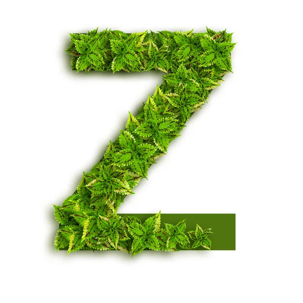 Letra Z, con hojas — Foto de Stock