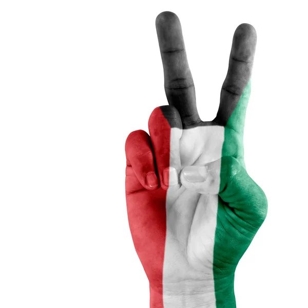 Bandera de Kuwait en la mano . Imagen De Stock