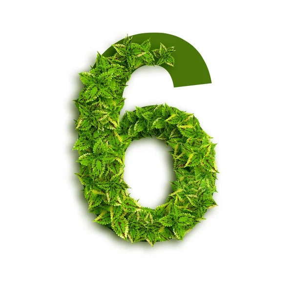 alfabe sayı 6, yaprakları yapılmış