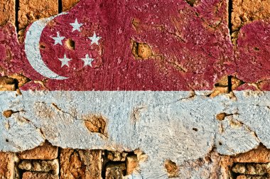 Singapur 'un Grunge Bayrağı