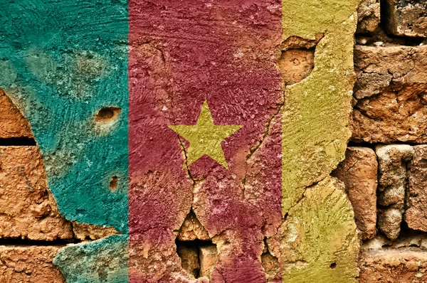 Drapeau Grunge du Cameroun — Photo