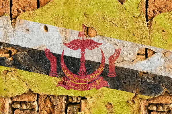 Grunge 国旗的文莱 — 图库照片