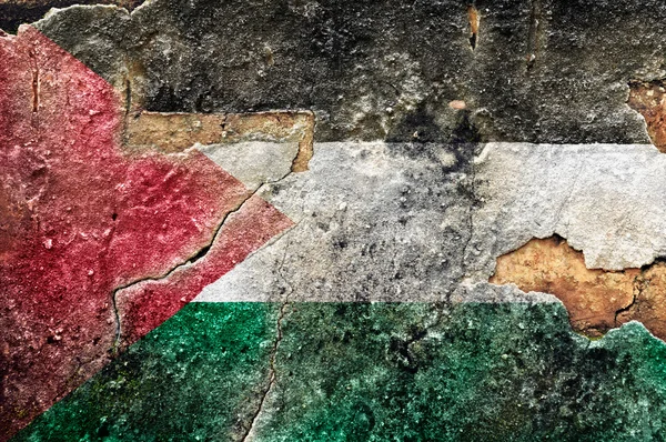 Bandiera grunge della Palestina — Foto Stock