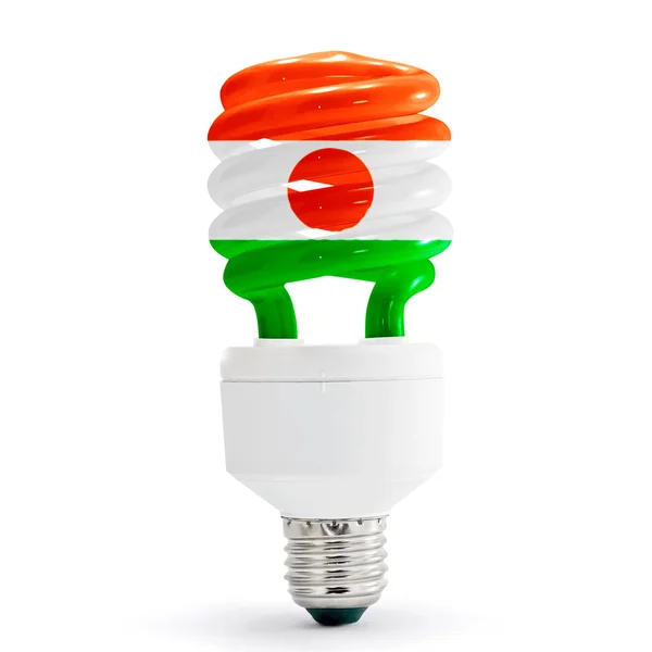 Flag of Niger On Bulb — Stock Photo, Image