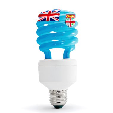 Flag Of Fiji On Bulb