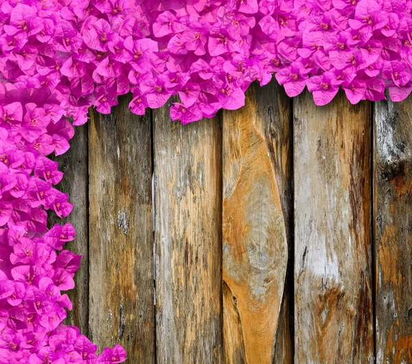 Fialové květy popínavé rostliny na staré dřevěné — Stock fotografie