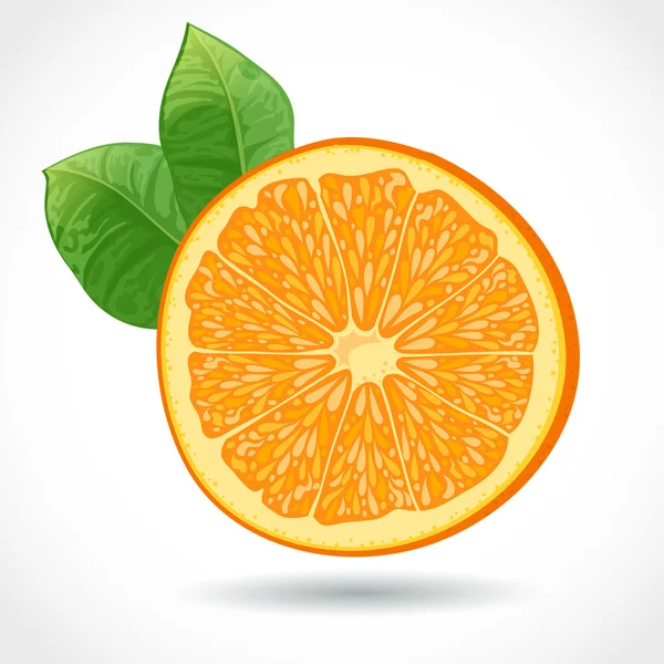 Fresh juicy piece of orange isolated — Stock Vector