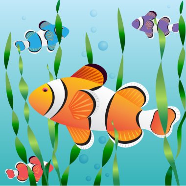 gerçekçi egzotik renkli balık