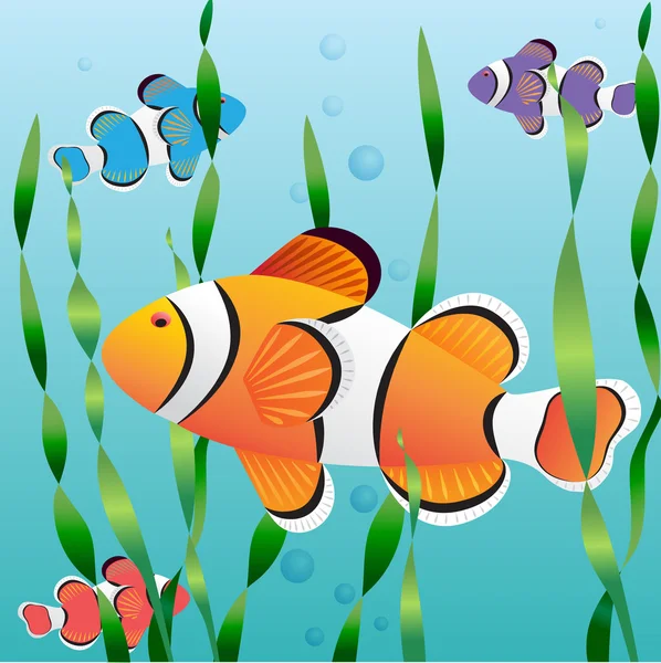 Peces coloridos exóticos realistas — Vector de stock