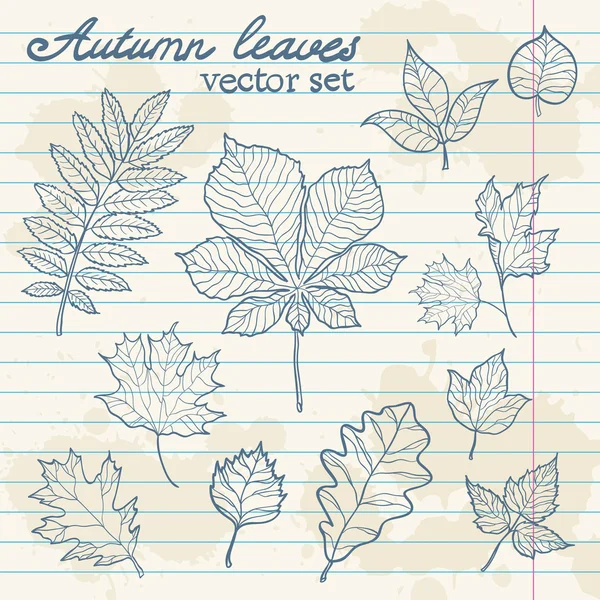 Autumn leaves collection set — Stock Vector