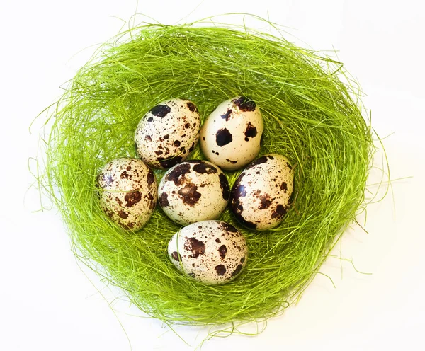 Quail eggs — Stock Photo, Image