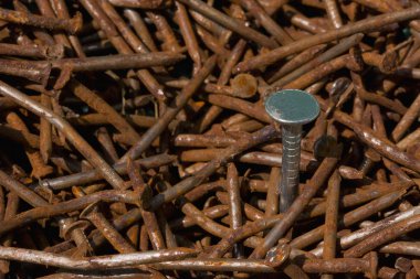 paslı çivi yığını arasında bir yeni çivi