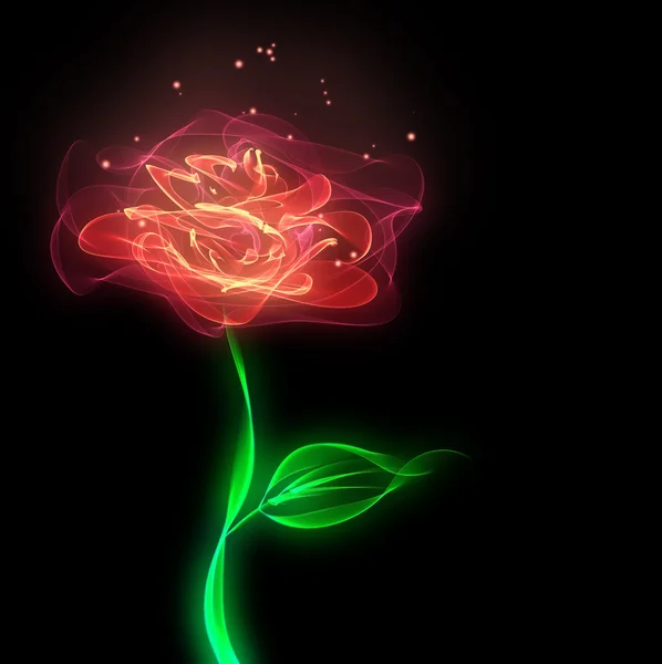 Flor de rosa abstracta — Foto de Stock