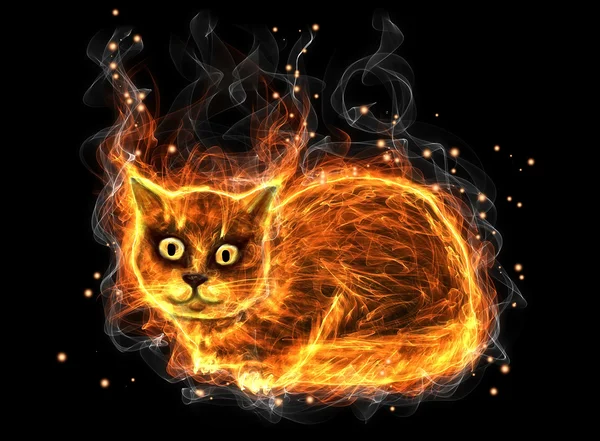 Feuerkatze — Stockfoto