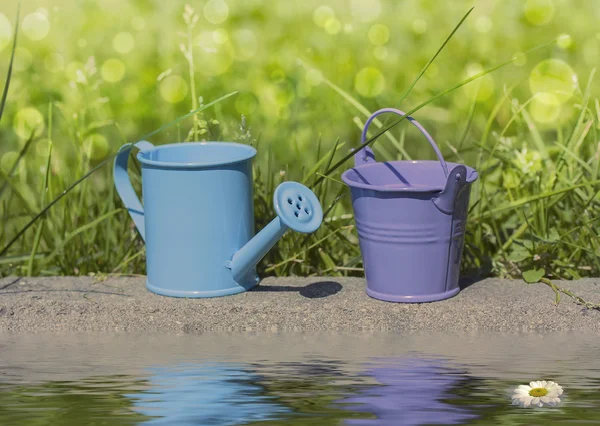 Lata de rega azul, balde roxo — Fotografia de Stock