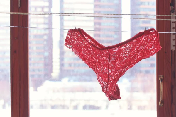 红色花边内裤挂在窗边的绳子上 情人节和妇女日的主题 图库图片