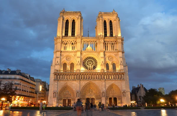 Notre dame de paris natt — Stockfoto