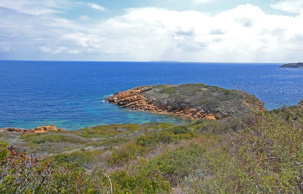 Giglio ö kusten — Stockfoto