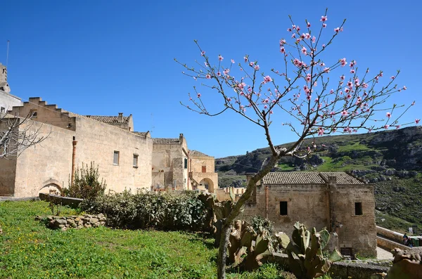 Antika Matera — Stockfoto