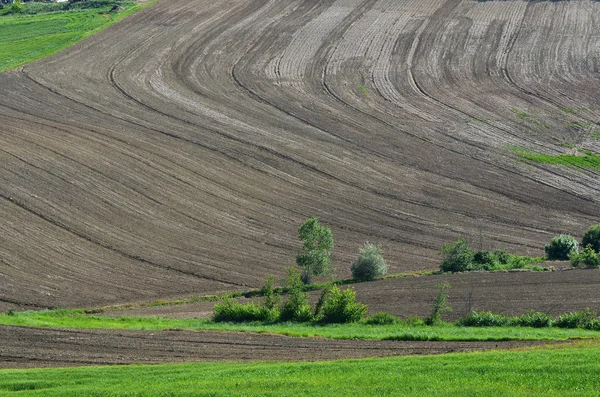 Veldlijnen — Stockfoto