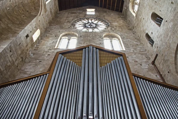 Trani cattedrale organo a canne — Foto Stock