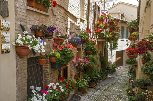 Květnaté ulička ve městě spello — Stock fotografie