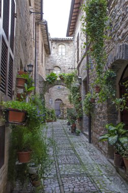 spello sokakta
