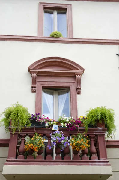 Infiorata di Spello - Balcone — Foto Stock