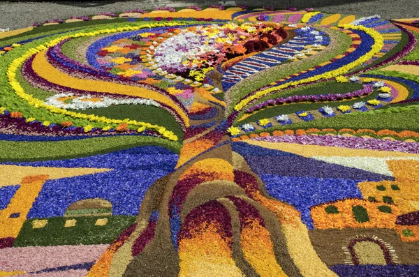 Infiorata of Spello — Stock Photo, Image