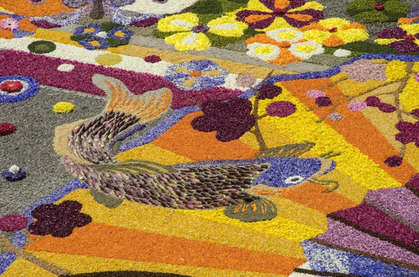 Spello infiorata