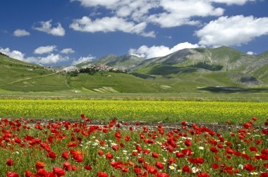 Castelluccio di Norcia
