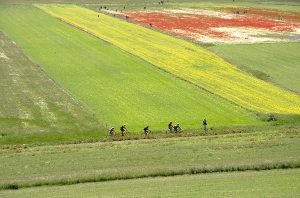 Escursioni in bicicletta nella natura — Foto Stock