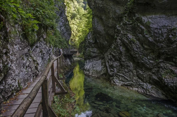 Vintgar gorge Slovenya — Stok fotoğraf