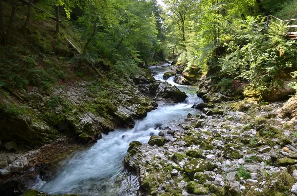 Río Radovna en el desfiladero de Vintgar —  Fotos de Stock