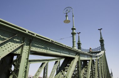 Budapeşte 'de özgürlük köprüsü