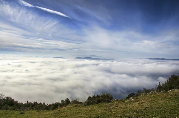 Inversione mattutina — Foto Stock