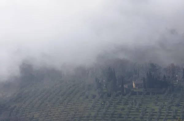 Italian valley in a foggy day — Stock Photo, Image