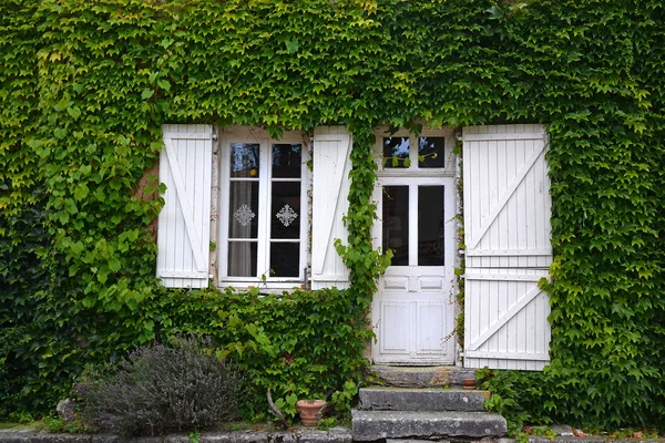 Franska hus murgröna täckta — Stockfoto