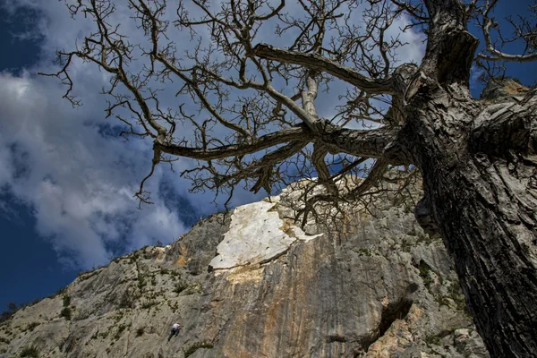 Falesia con un free climber — Foto Stock