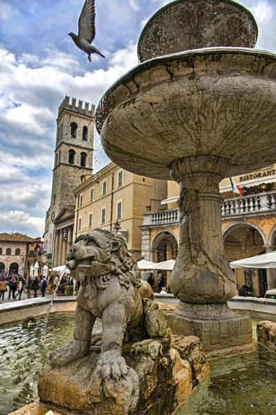 Brunnen von drei Löwen in assisi — Stockfoto