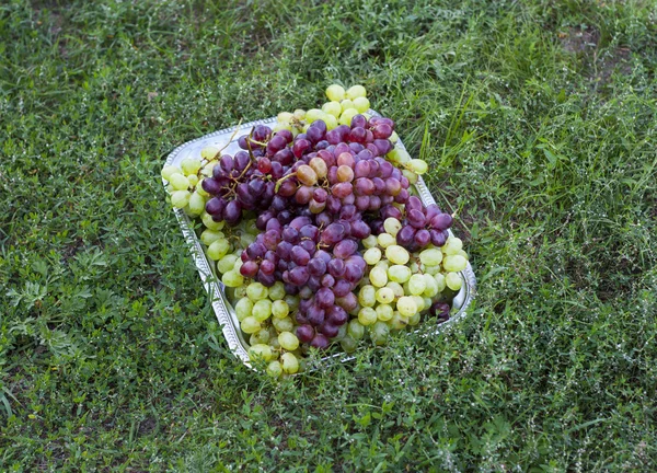 Grapes on metal tray — Stockfoto