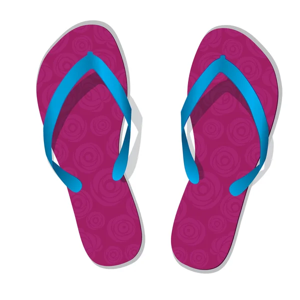 Pair of flip flops — Stock Vector