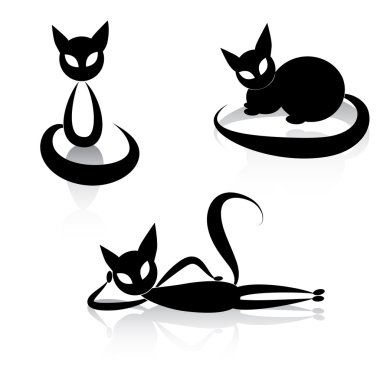 siyah kedi