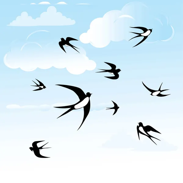 Bird swallow set. — Stock Vector