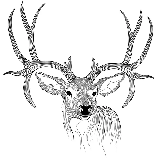 Tête de cerf — Image vectorielle