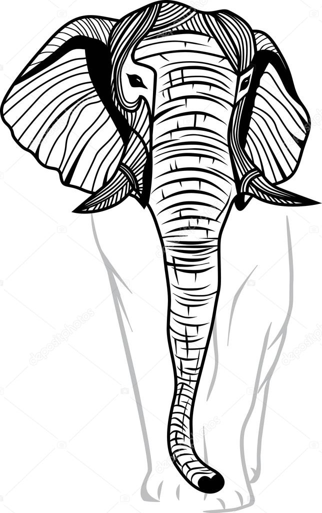 Elephant head for mascot or emblem design, logo vector animal illustration for t-shirt. Sketch tattoo. Travel safari symbol